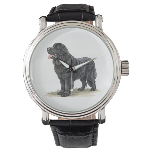 Reloj De Pulsera Terranova (Anverso)
