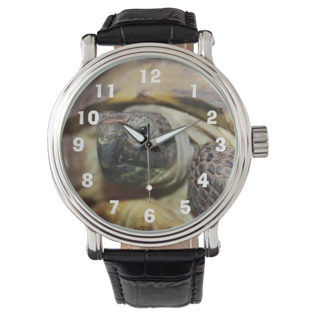 Reloj De Pulsera Tibbs (Anverso)