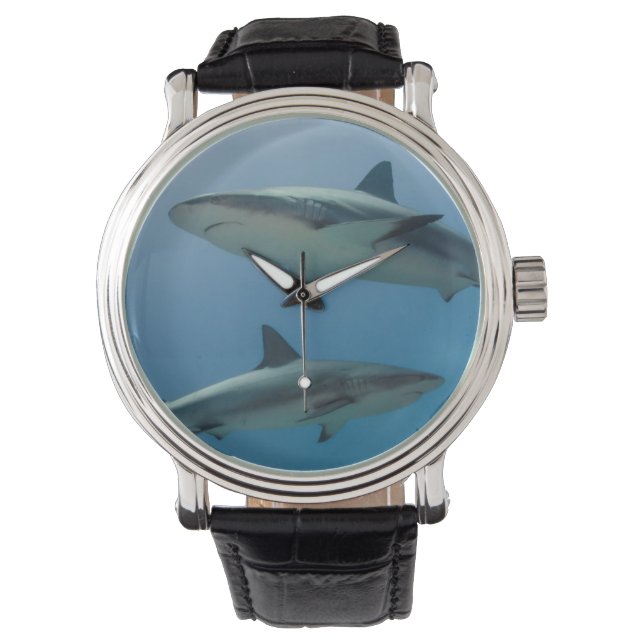 Reloj De Pulsera Tiburón de arrecife del Caribe (Anverso)