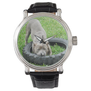 Reloj De Pulsera Tiempo de juego del Blue Staffordshire Bull Terrie
