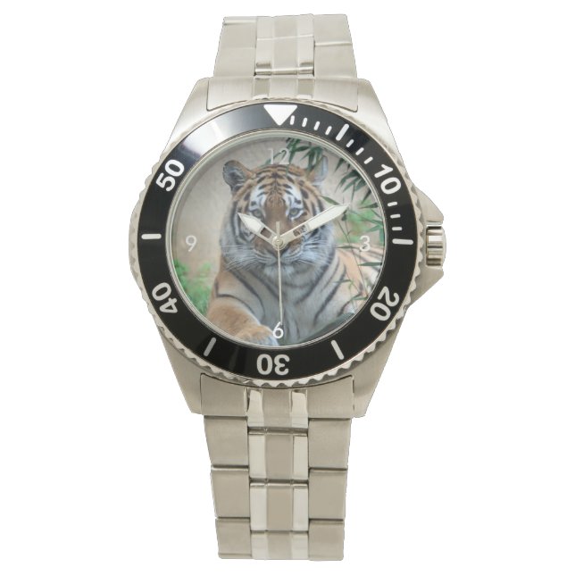 Reloj De Pulsera Tiger_20171103_by_JAMFoto (Anverso)