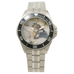Reloj De Pulsera Tiger_20190302_by_JAMFoto