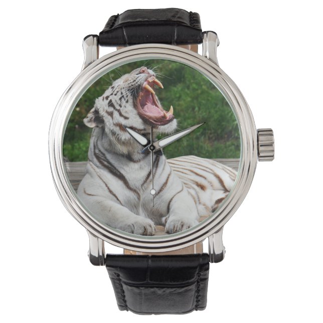 Reloj De Pulsera Tigre blanco, vigilancia de tigres bengalíes (Anverso)