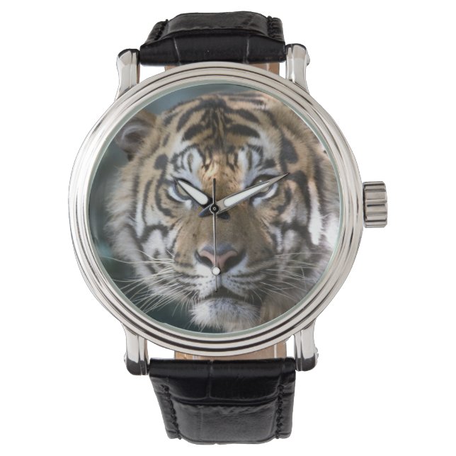 Reloj De Pulsera Tigre de Sumatra macho (Panthera tigris sumatrae) (Anverso)