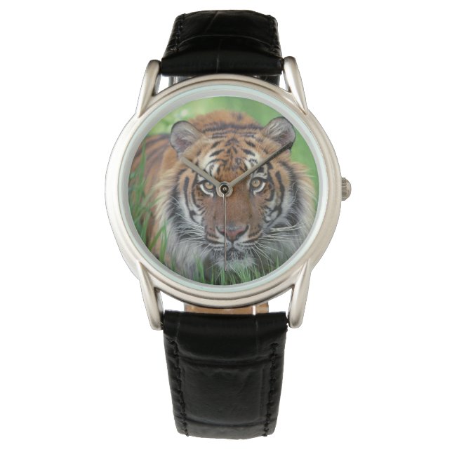 Reloj De Pulsera Tigre Mens Classic Watch/Willife (Anverso)