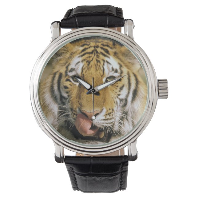 Reloj De Pulsera Tigre Zoológico de Michigan (Anverso)