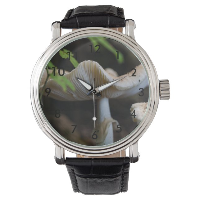 Reloj De Pulsera Toadstool Umbrella (Anverso)