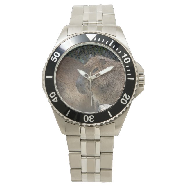Reloj De Pulsera toony Capibarah (Anverso)