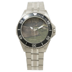 Reloj De Pulsera toony capy 2