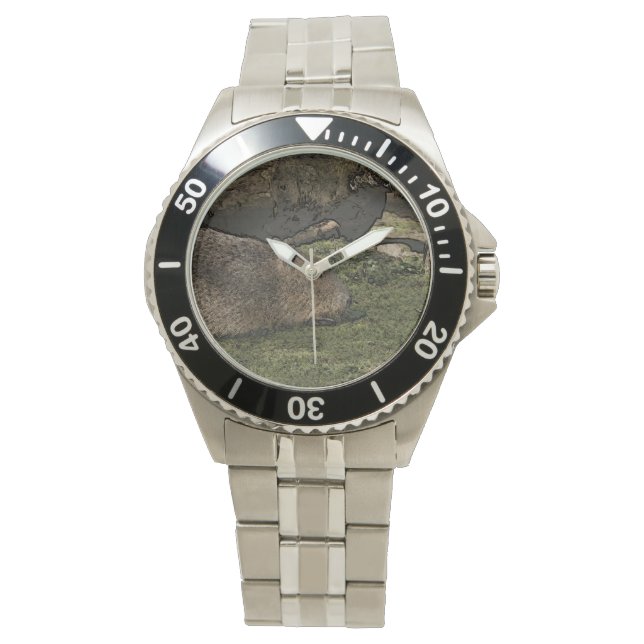Reloj De Pulsera toony capy 2 (Anverso)