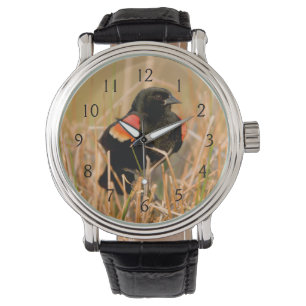 Reloj De Pulsera Tordo sargento macho cantando