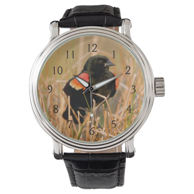 Reloj De Pulsera Tordo sargento macho cantando (Anverso)