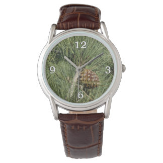 Reloj De Pulsera Torrey Pine Primer Plano Botánico California