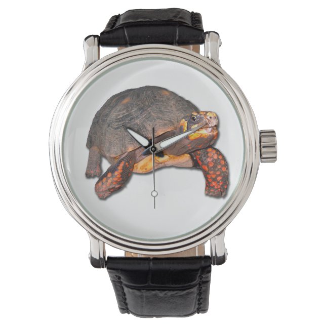 Reloj De Pulsera Tortoise Watch (Anverso)