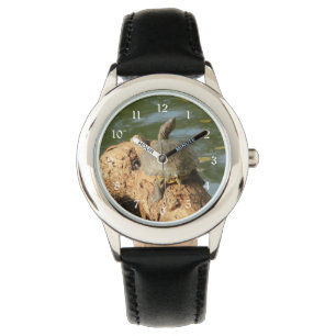 Reloj De Pulsera Tortuga de la charca