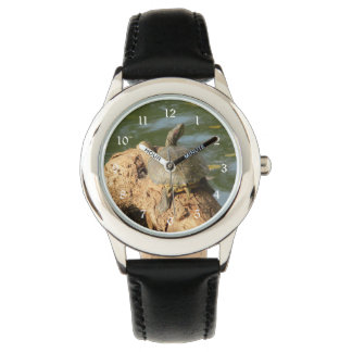 Reloj De Pulsera Tortuga Pond