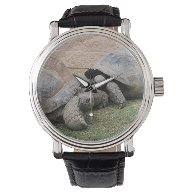 Reloj De Pulsera tortugas gigantes (Anverso)