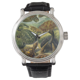 Reloj De Pulsera Tortugas terrestres y tortugas marinas vintage de 