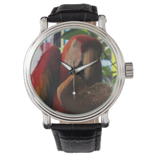 Reloj De Pulsera Tostada de loro de Macaw escarlata