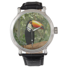 Reloj De Pulsera Toucan en la rama del árbol