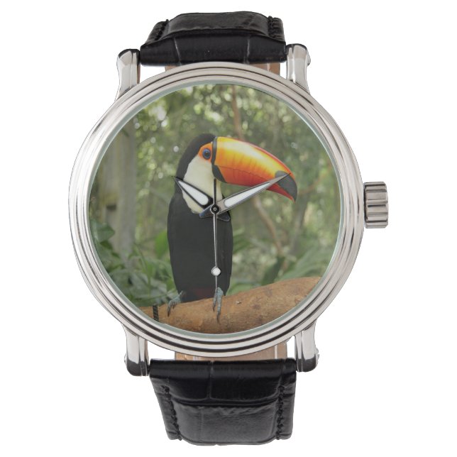 Reloj De Pulsera Toucan en la rama del árbol (Anverso)