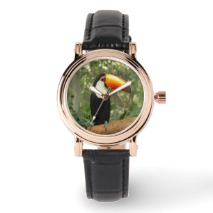 Reloj De Pulsera Toucan en la rama del árbol