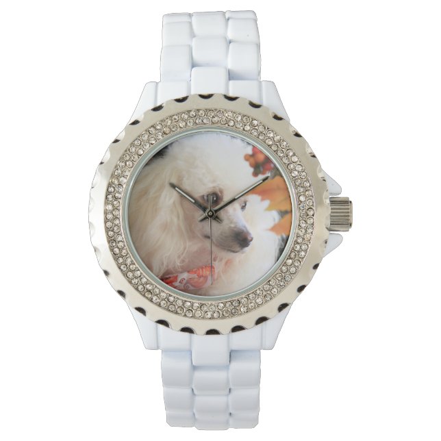 Reloj De Pulsera Toy poodle dog white Diamante de imitación Watch (Anverso)
