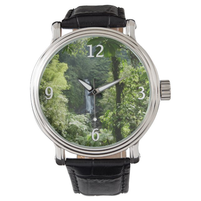 Reloj De Pulsera Trafalgar cae fotografía tropical de selva tropica (Anverso)