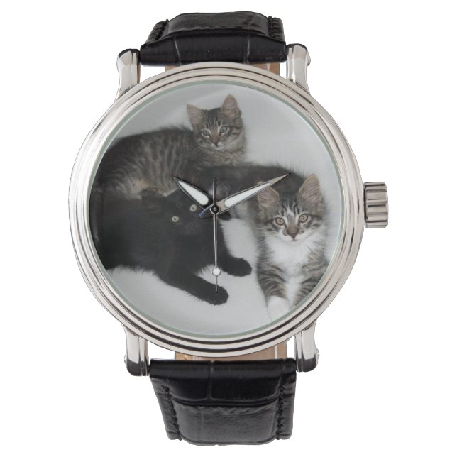 Reloj De Pulsera Tres gatitos rescatados Watch (Anverso)