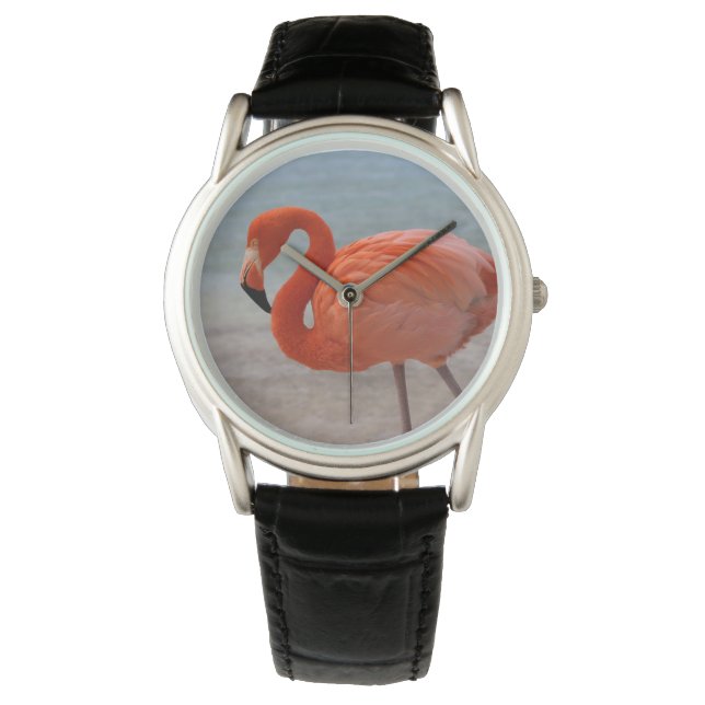 Reloj De Pulsera Tropical Beaches | Caribbean Flamingo, Aruba (Anverso)