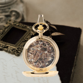 Reloj De Pulsera Turritella Agate Fossils Números romanos