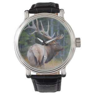 Reloj De Pulsera Uapití de las Montañas Rocosas