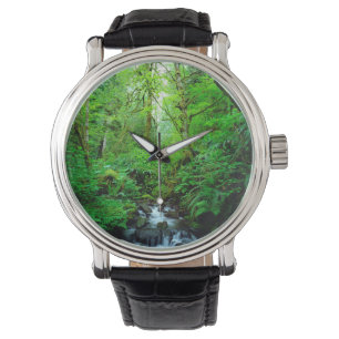 Reloj De Pulsera Un arroyo en un bosque maduro