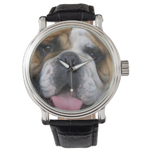 Reloj De Pulsera Un bulldog inglés en Bélgica.