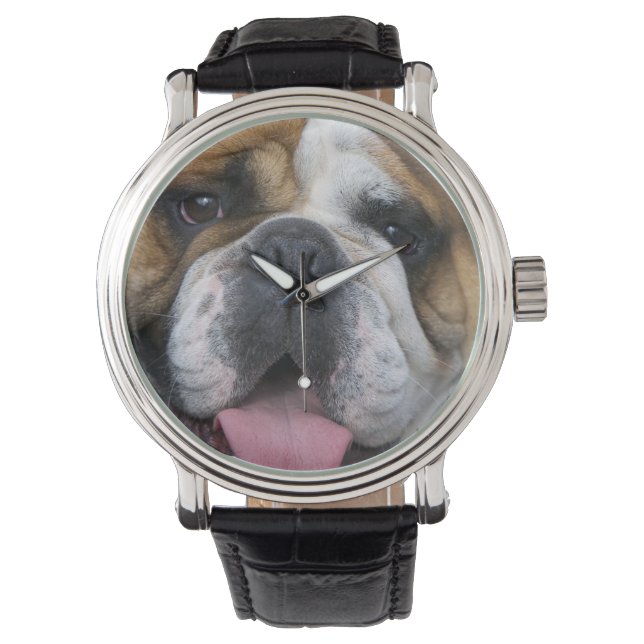 Reloj De Pulsera Un bulldog inglés en Bélgica. (Anverso)