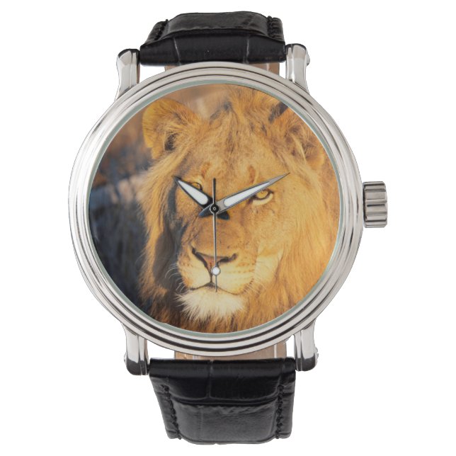 Reloj De Pulsera Un león de melena roja mirando a la cámara. (Anverso)