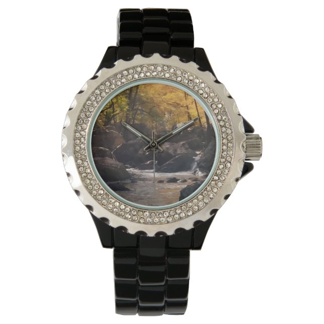 Reloj De Pulsera Un orologio raffinato (Anverso)