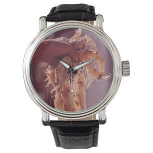 Reloj De Pulsera Un puñado de camarón