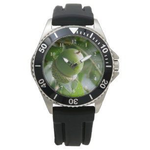 Reloj De Pulsera un roble