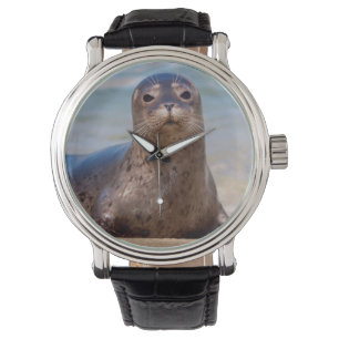 Reloj De Pulsera Un sello en una playa a lo largo de la costa del P