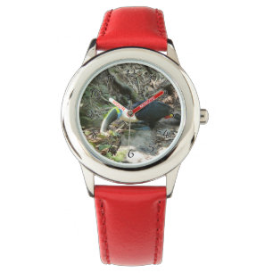 Reloj De Pulsera Un Toucan se encarama en raíces del árbol en el