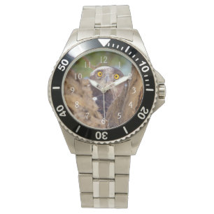 Reloj De Pulsera Una águila culebrera de pecho blanco