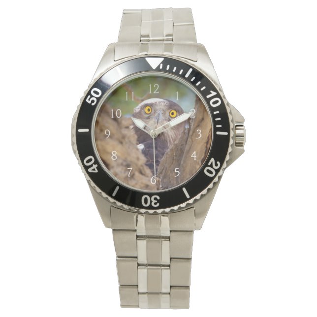 Reloj De Pulsera Una águila culebrera de pecho blanco (Anverso)