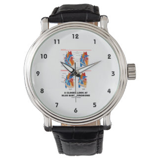 Reloj De Pulsera Una Mirada Más Cercana Al Síndrome Del Bebé Azul (