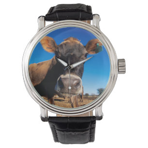 Reloj De Pulsera Una vaca Jersey siendo curiosa