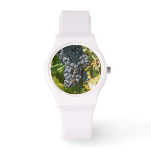 Reloj De Pulsera Uruguay, Montevideo, Área Colon. Bodegas