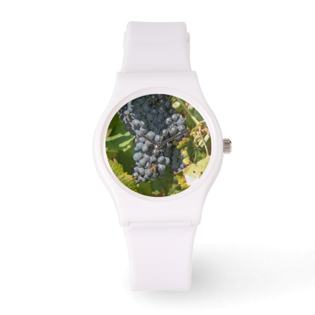 Reloj De Pulsera Uruguay, Montevideo, Área Colon. Bodegas (Anverso)