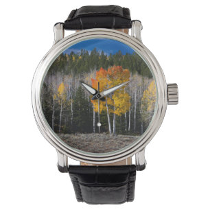 Reloj De Pulsera Utah, EE. UU. Árboles de álamo temblón (Populus Tr