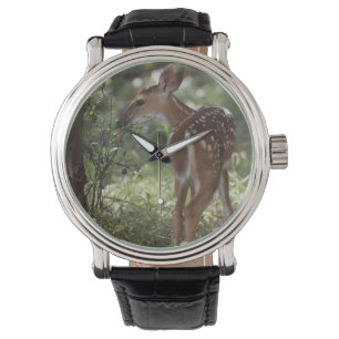 Reloj De Pulsera Venado de cola blanca, Odocoileus virginianus