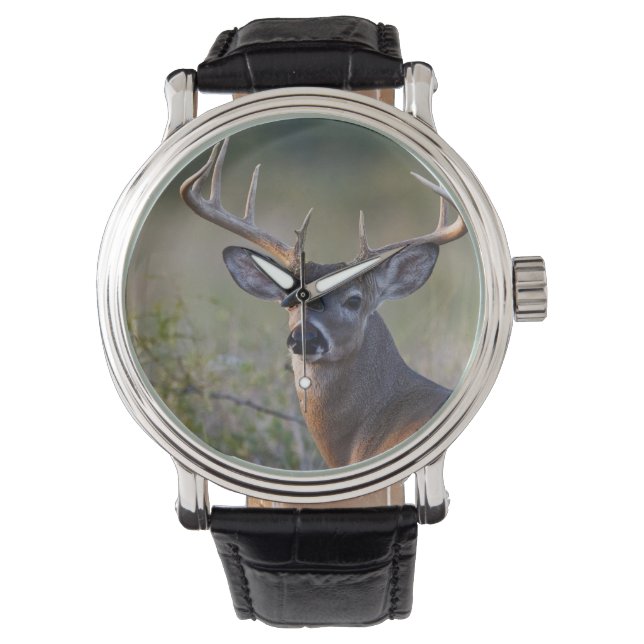 Reloj De Pulsera venado de cola blanca Odocoileus virginianus (Anverso)